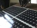 Asphalt Shingle